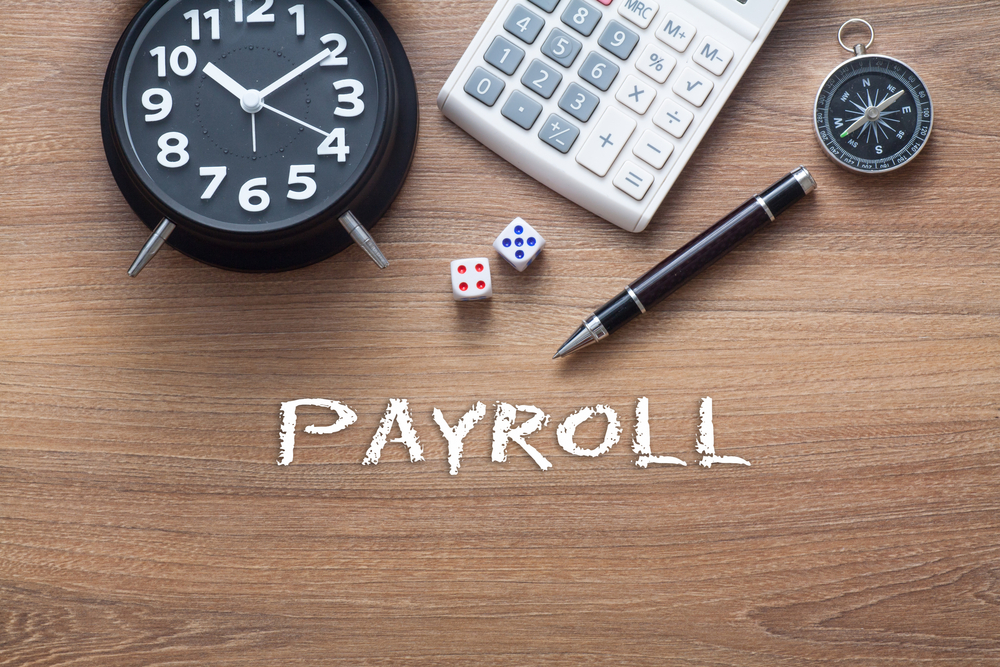 What To Consider When Looking For Payroll Germany Services