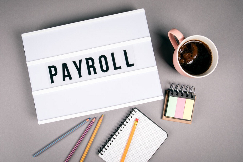When And Why You Should Hire A Payroll Company In Germany